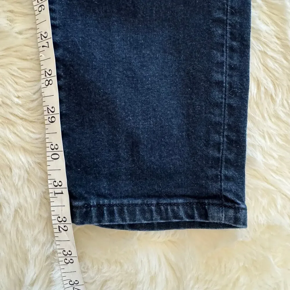 Banana Republic Blue Low Rise Skinny Denim Jeans 26